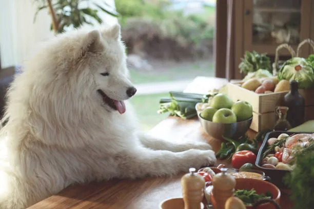 different fresh vegetables on the table in the kitchen