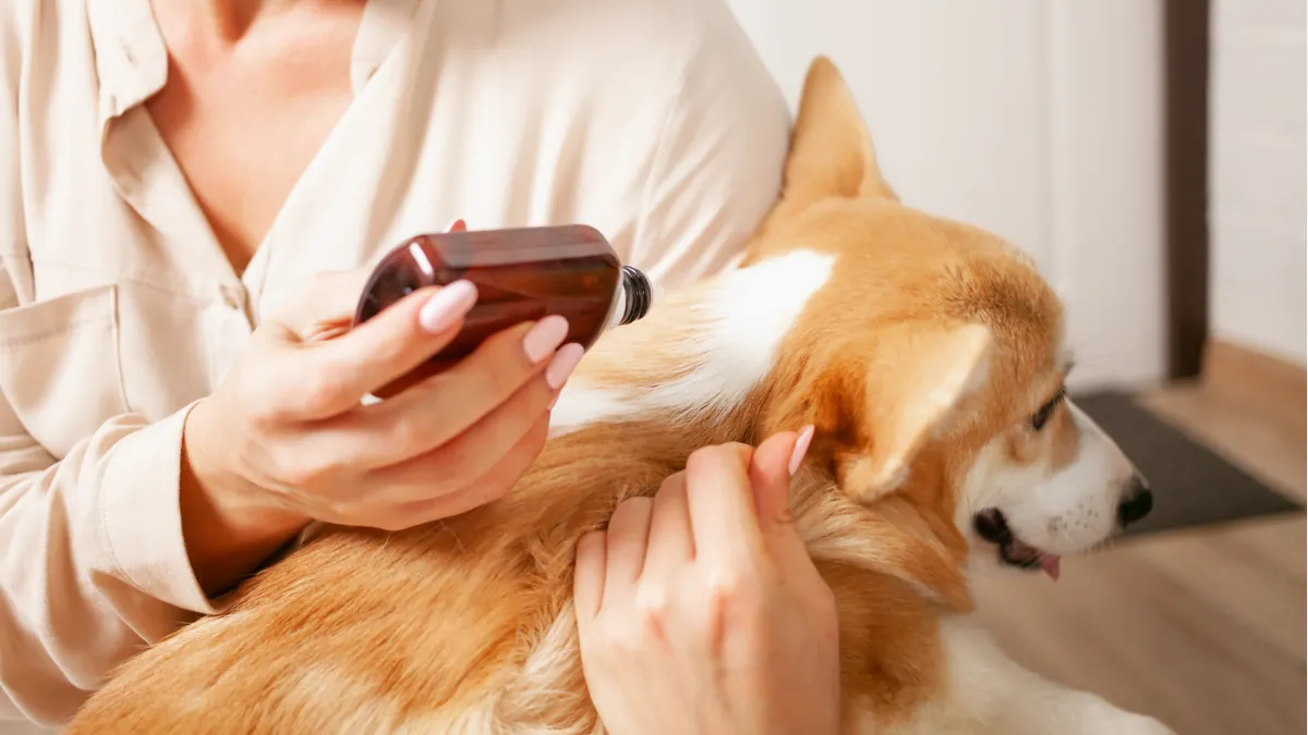A person spraying a dog's fur

Description automatically generated