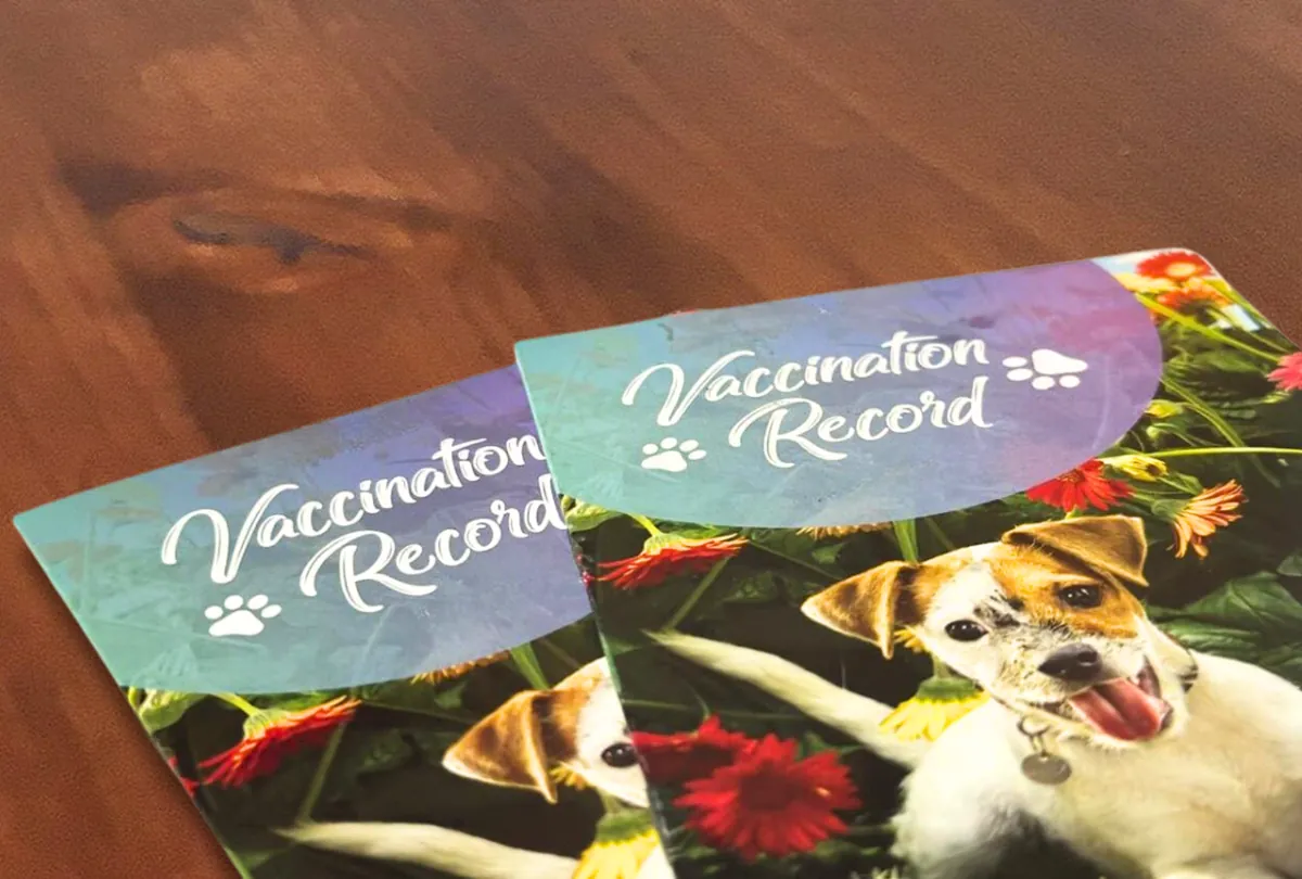 Pet vaccination record card displaying dog information and dates