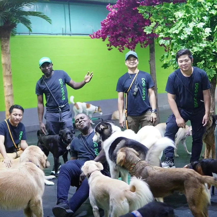 Team of caretakers surrounded by multiple dogs at boarding facility