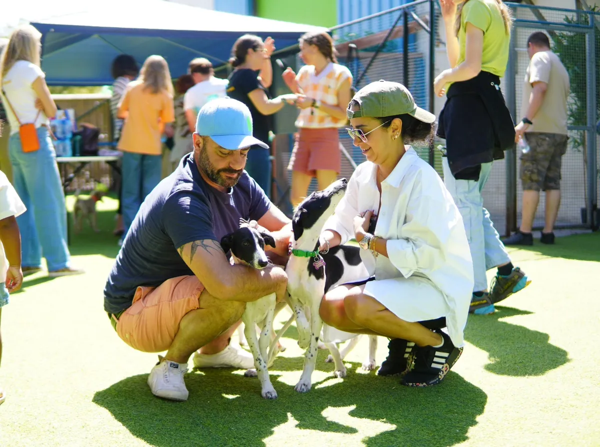 Woman and man holding small tan and black dog at outdoor event