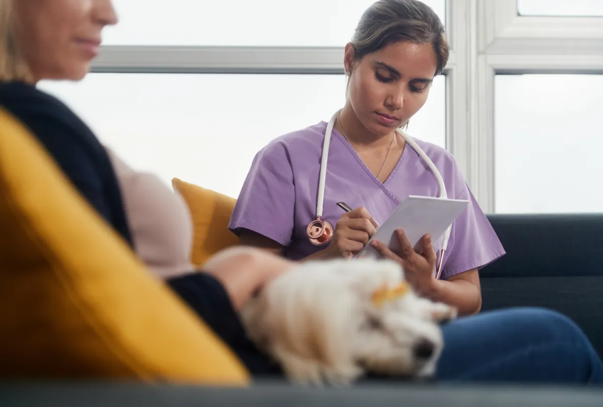 Female vet assistant consulting with woman about yellow Labrador care indoors