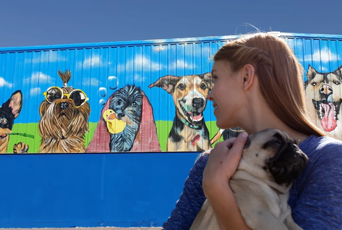 Woman holding small Pug facing large colorful painted dog mural on wall