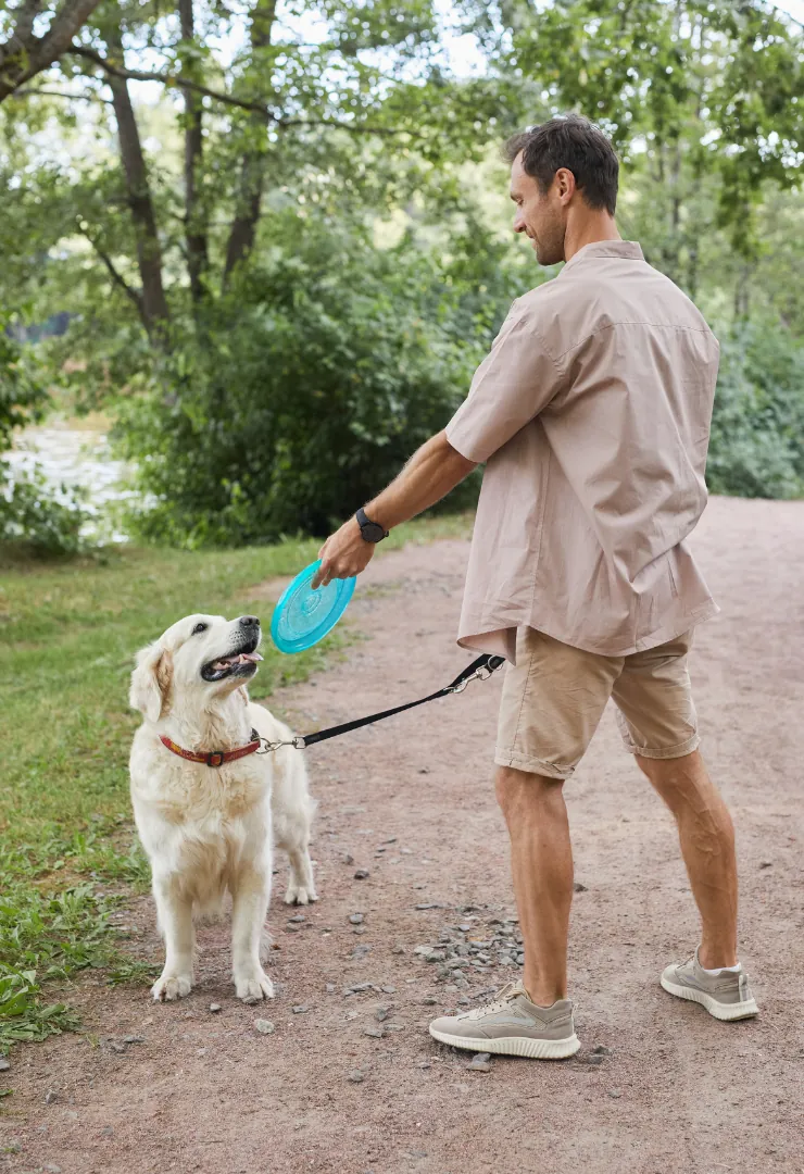 Man throwing blue frisbee disc to yellow Lab in woodland setting.