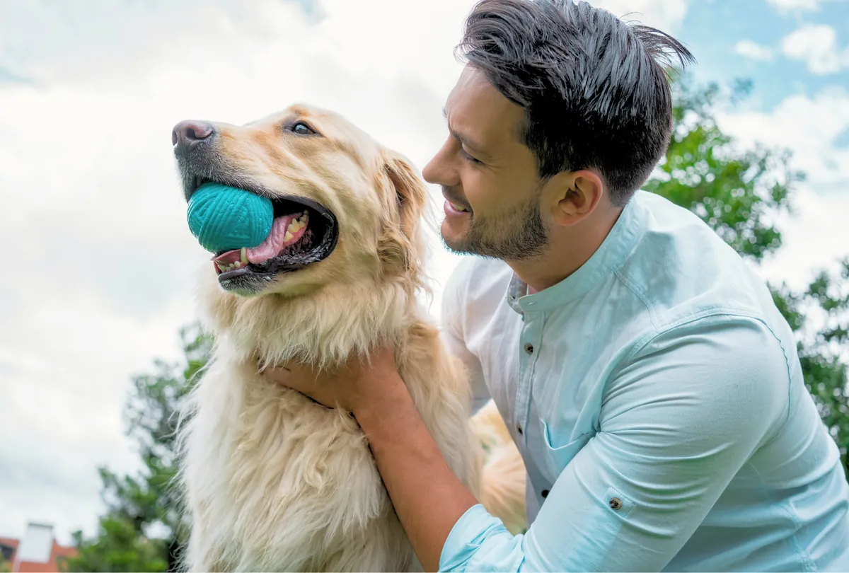 Fetch Fun: Creative Dog Games for Bonding and Entertainment