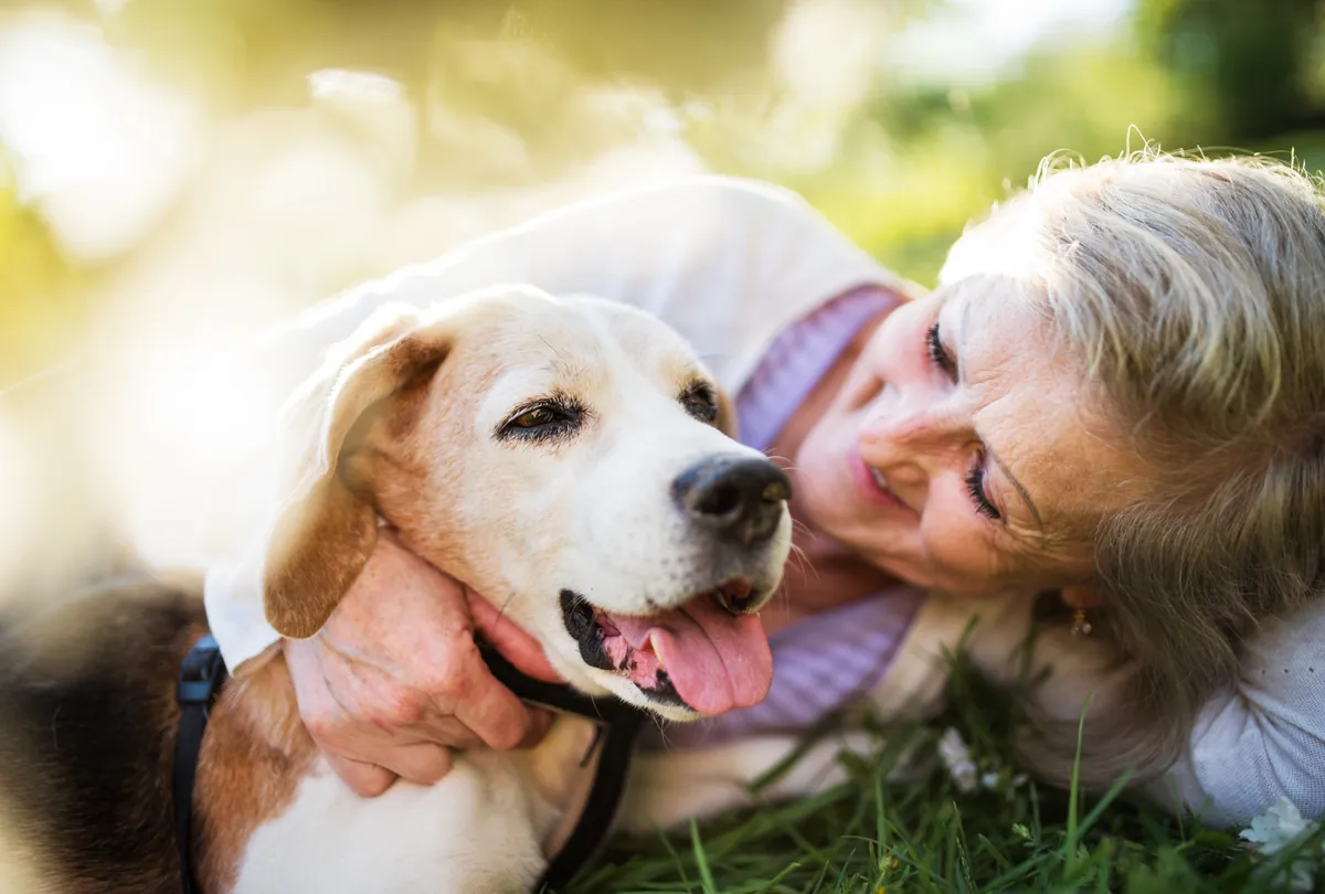Elderly woman showing affection to happy beige dog outdoors.