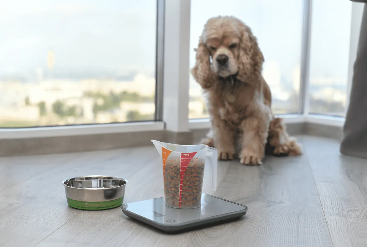 Tan dog lying on side resting beside empty copper bowl