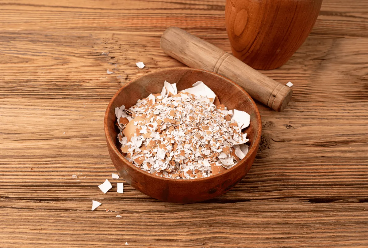 Crushed eggshell fragments in wooden bowl with mortar