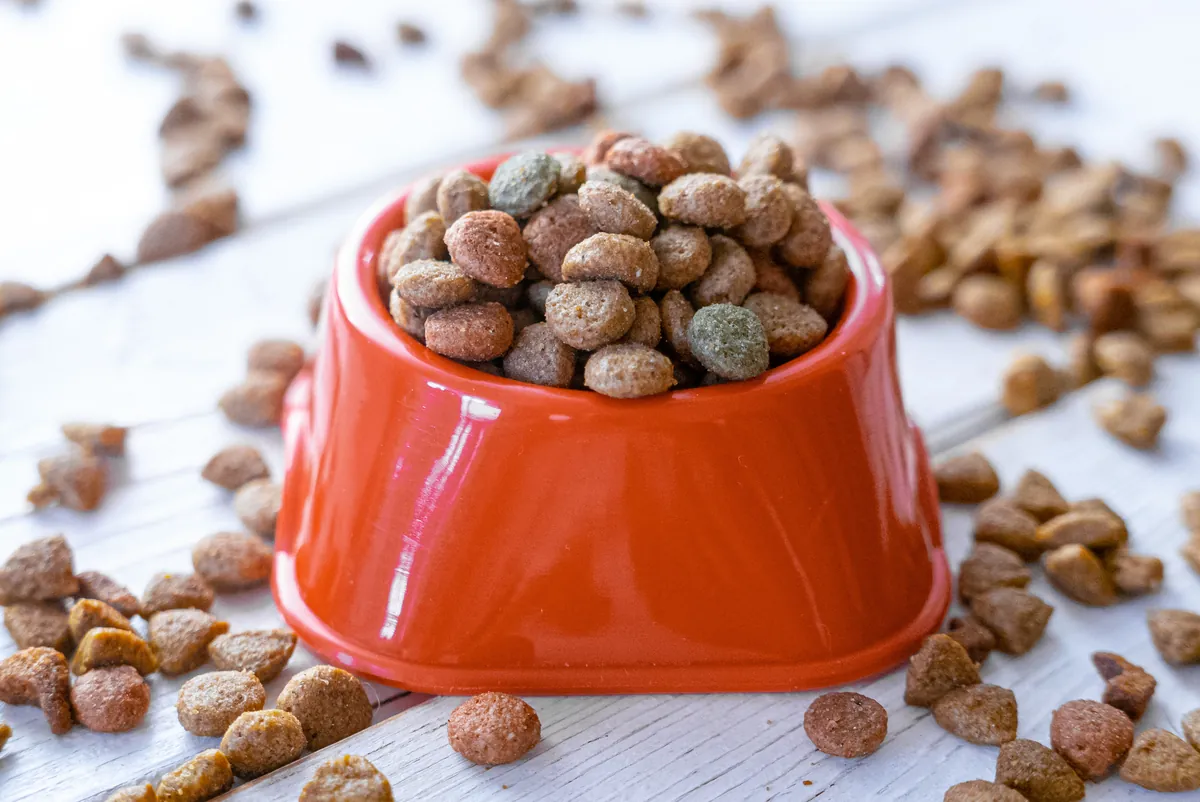 Orange bowl heaped with dry kibble on white background
