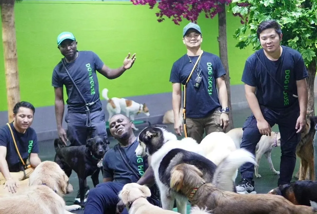 Dog House staff posing with various dogs of different breeds