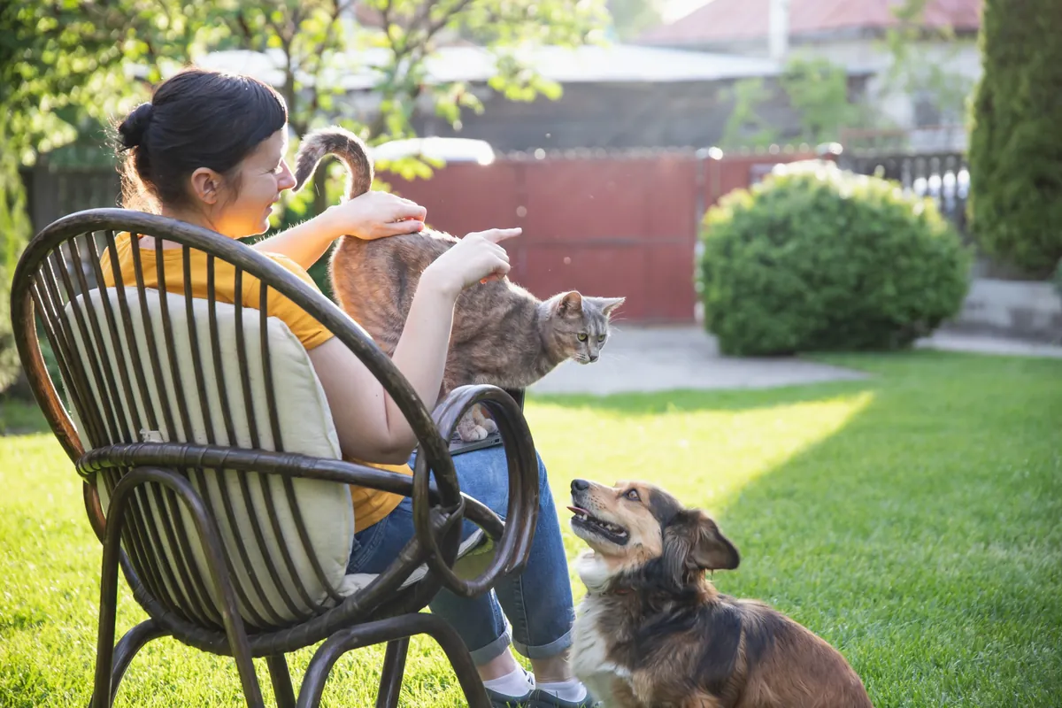 Pet Sitting Checklist: Everything You Need to Know Before Leaving Your Dog