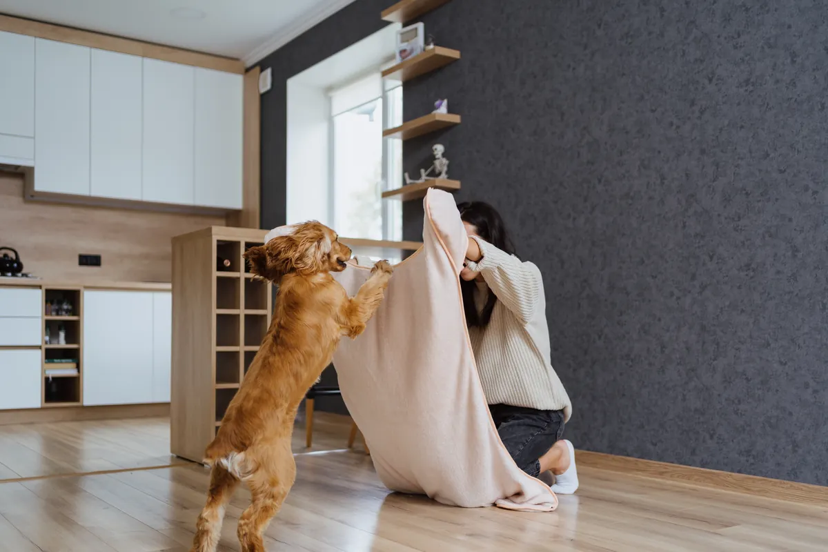 Woman and reddish dog bonding together indoors