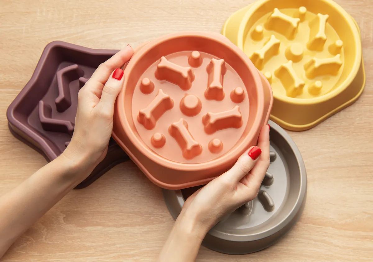 Hands holding pink slow feeder bowl with multiple bowl styles shown