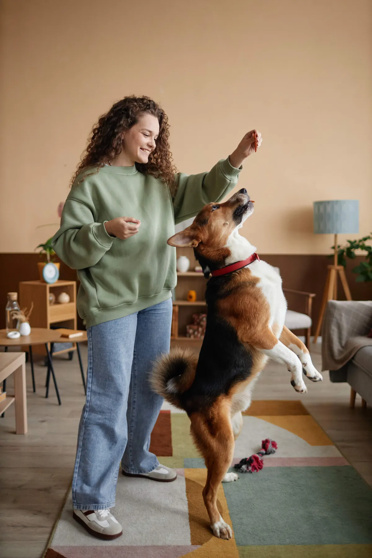 Indoor Exercise for Dogs