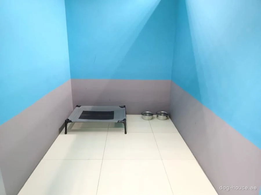 A private boarding room at Dog House with a raised bed and food and water bowls