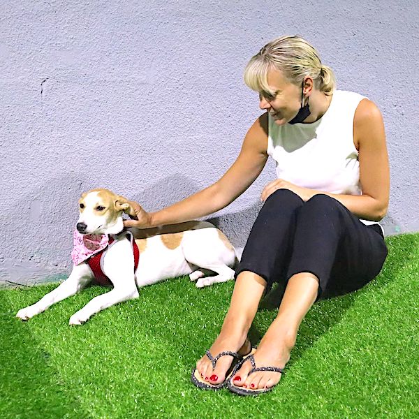 How Dog Daycare Boosts Canine Confidence 6 Dog daycare offers a comforting solution, providing dogs with a bustling environment filled with activities and companionship.