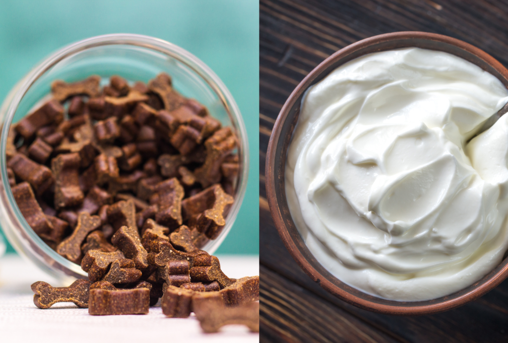 Probiotics for Dogs: 5 Ways Probiotics Improve Dog Health 3 for blog post 25