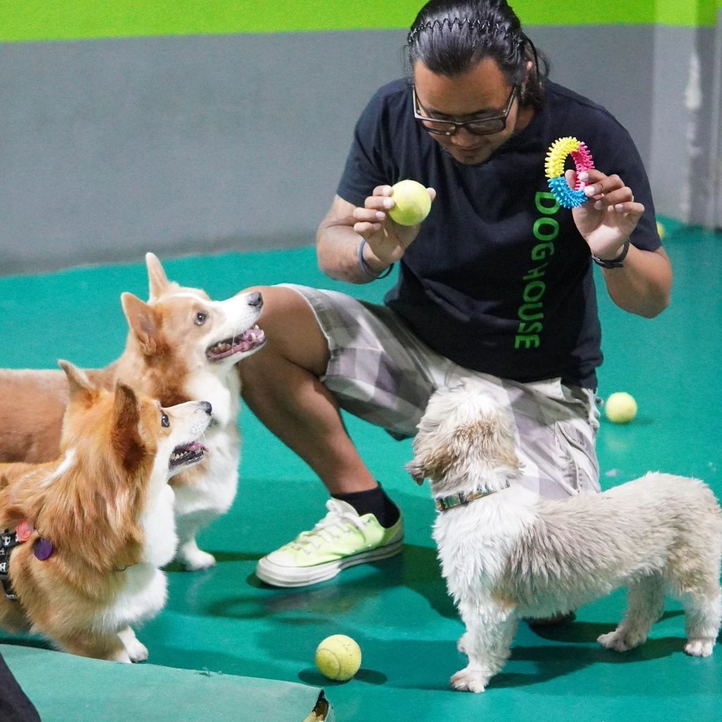 From Hyper to Harmonious: How Exercise Improves Dog Behavior 9 343941883 1303232983870592 7890751190442065018 n