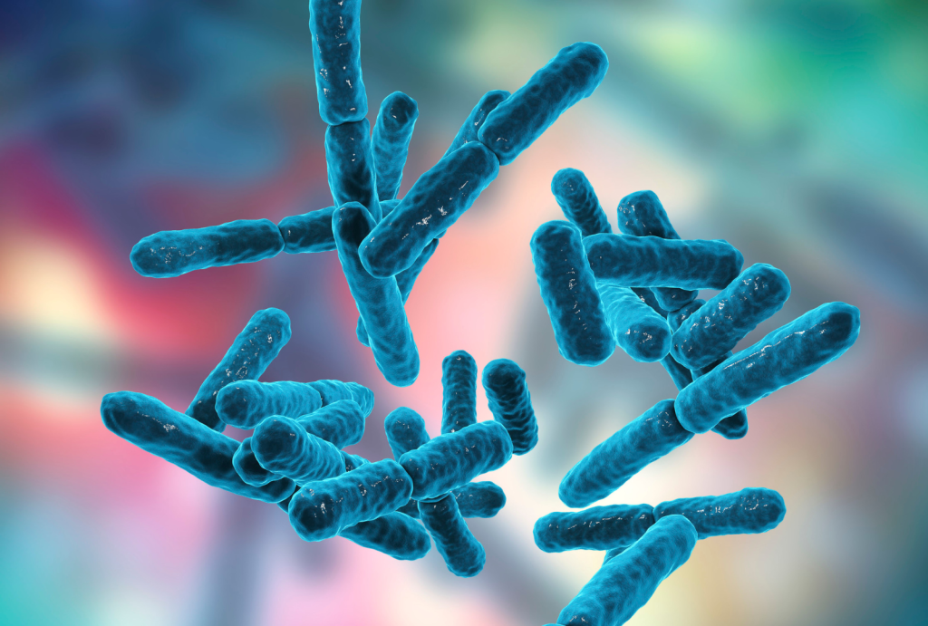 Probiotics for Dogs: 5 Ways Probiotics Improve Dog Health 2 for blog post 14 1