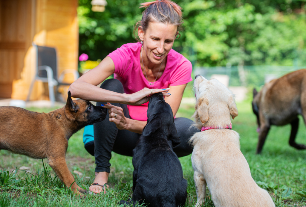 Puppy Love: The Critical Stages of Puppy Development 7 for blog post 2 1