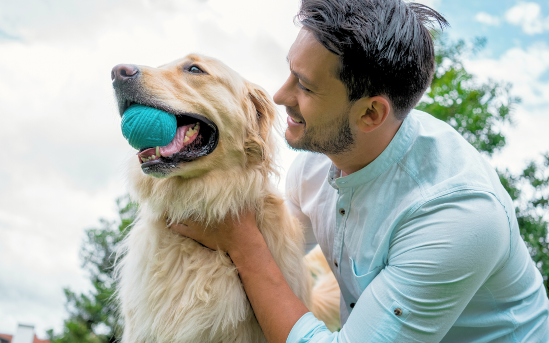 Fetch Fun: Creative Dog Games for Bonding and Entertainment