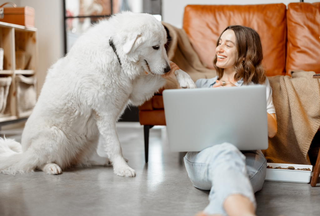 The Art of Dog Training: Positive Reinforcement Techniques 6 for blog post 8 3