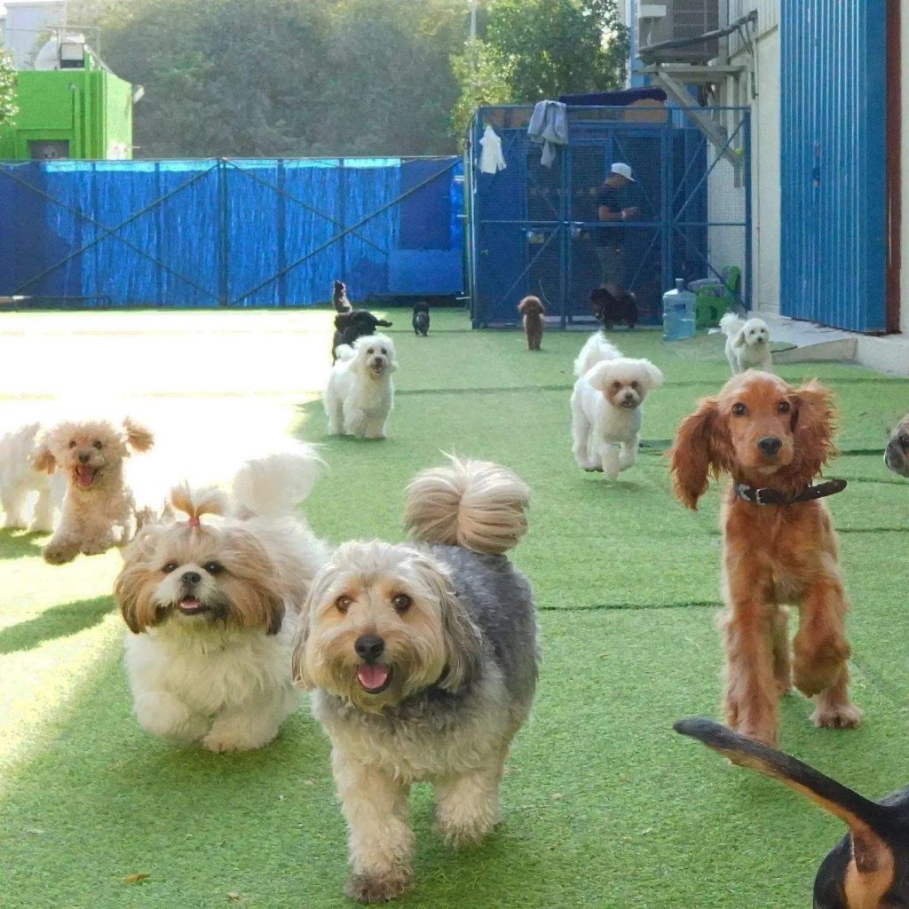 318780653 602088281918513 3503003420503834100 n