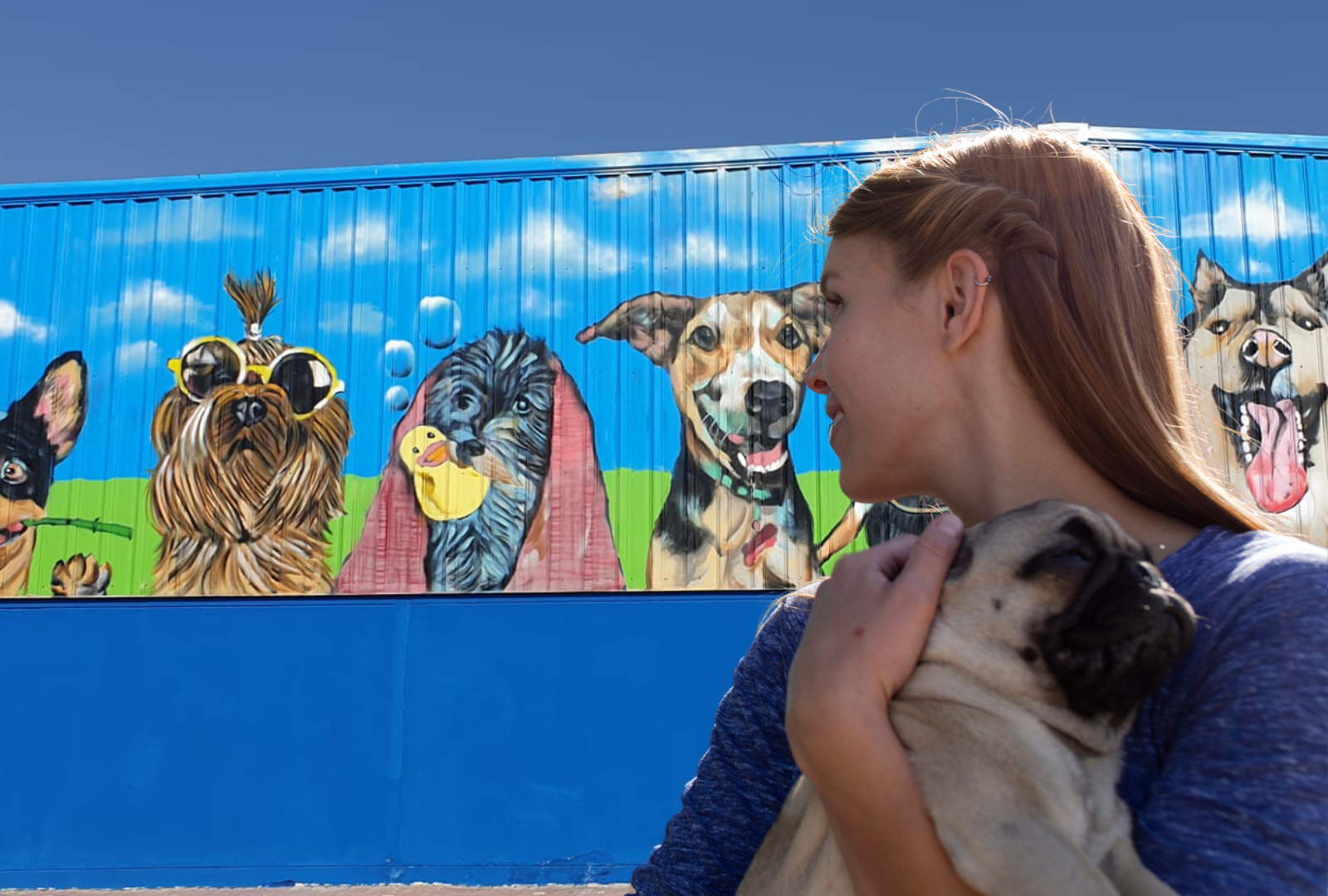 Top 7 Myths About Dog DayCare—Debunked! Top 7 Myths About Dog DayCare—Debunked!
