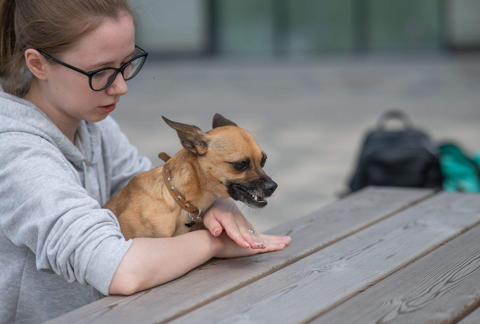 Managing Dog Aggression: Tips for a Calmer Pup