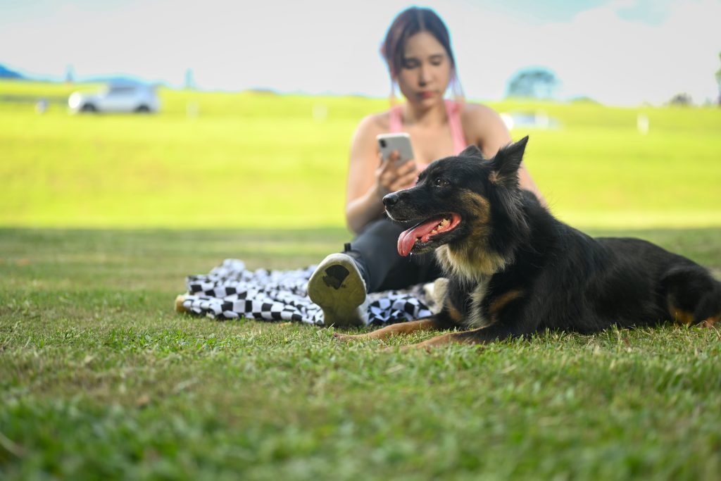 62078658 happy young woman resting on a blanket with her dog after workout and using mobile phone
