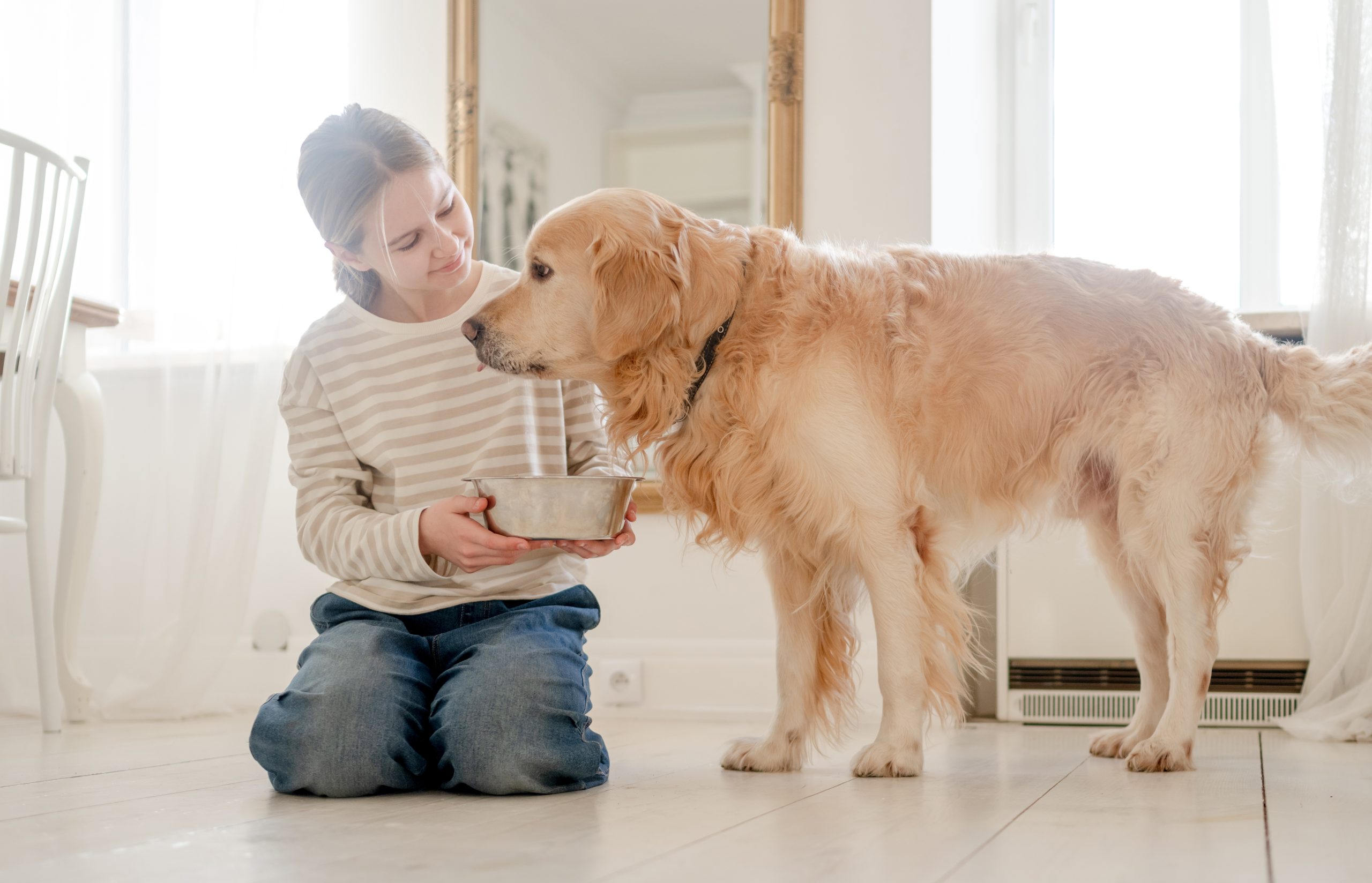 Dogs with Sensitive Stomachs: Best Foods & Care Tips Dogs with Sensitive Stomachs: Best Foods & Care Tips