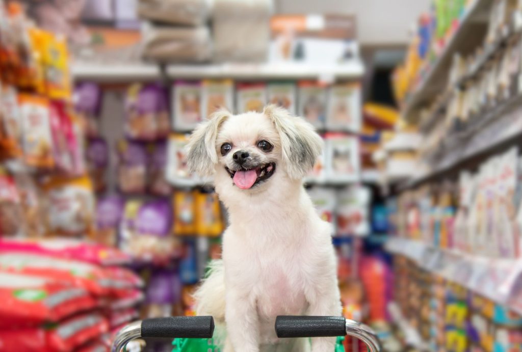 Dogs with Sensitive Stomachs: Best Foods & Care Tips 2 for blog post 1