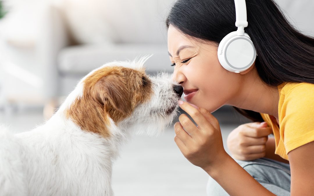 Smelly Dog Syndrome? How Regular Grooming Keeps Odors at Bay