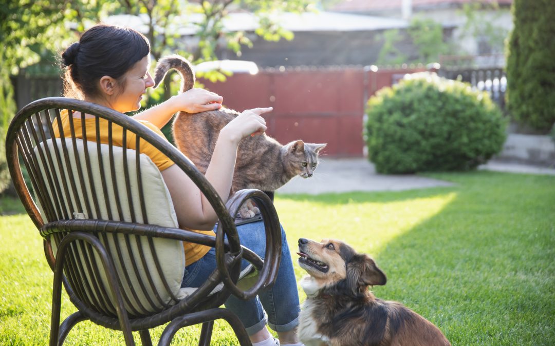 Pet Sitting Checklist: Everything You Need to Know Before Leaving Your Dog