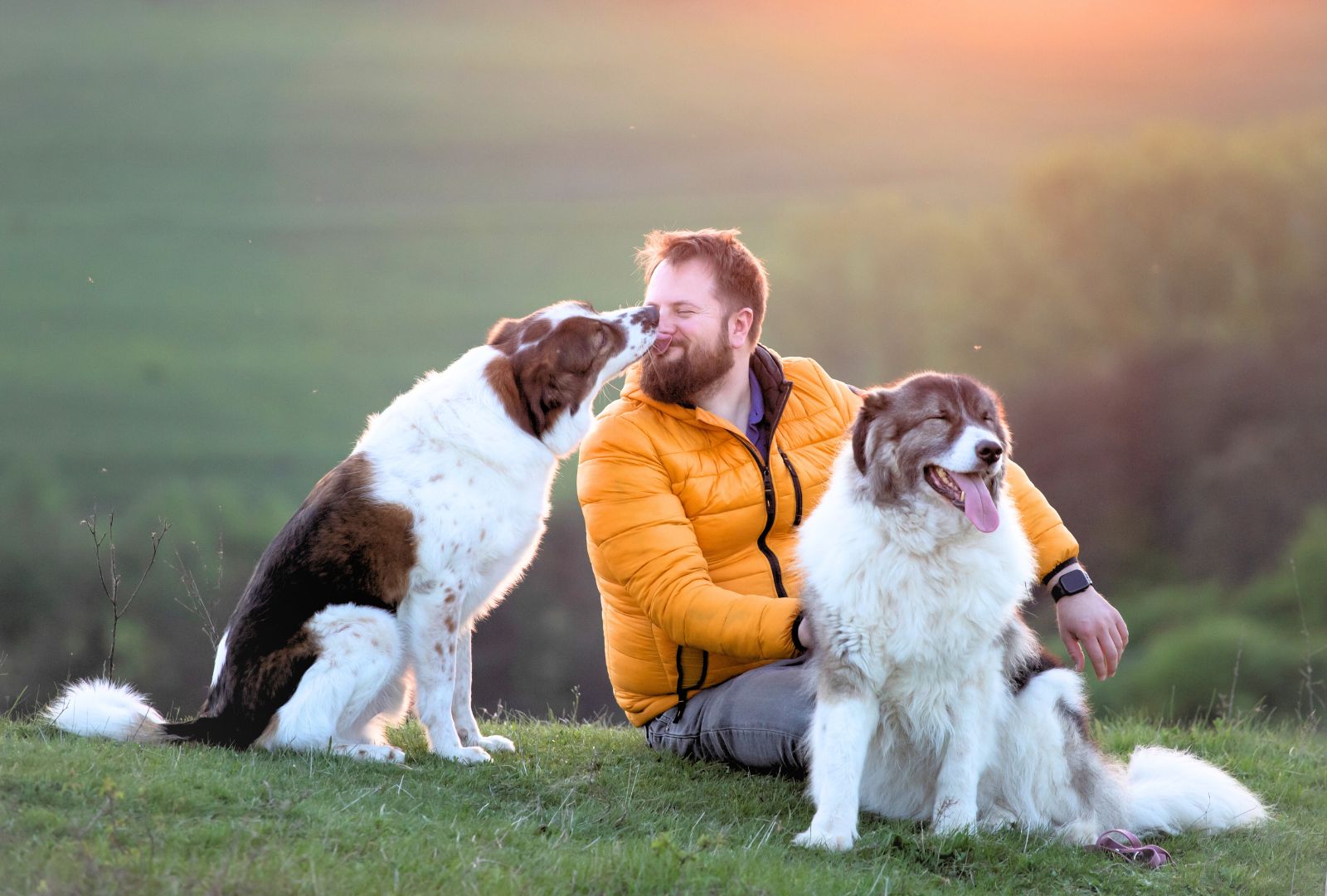 10 Dog Bonding Ideas for a Stronger Connection
