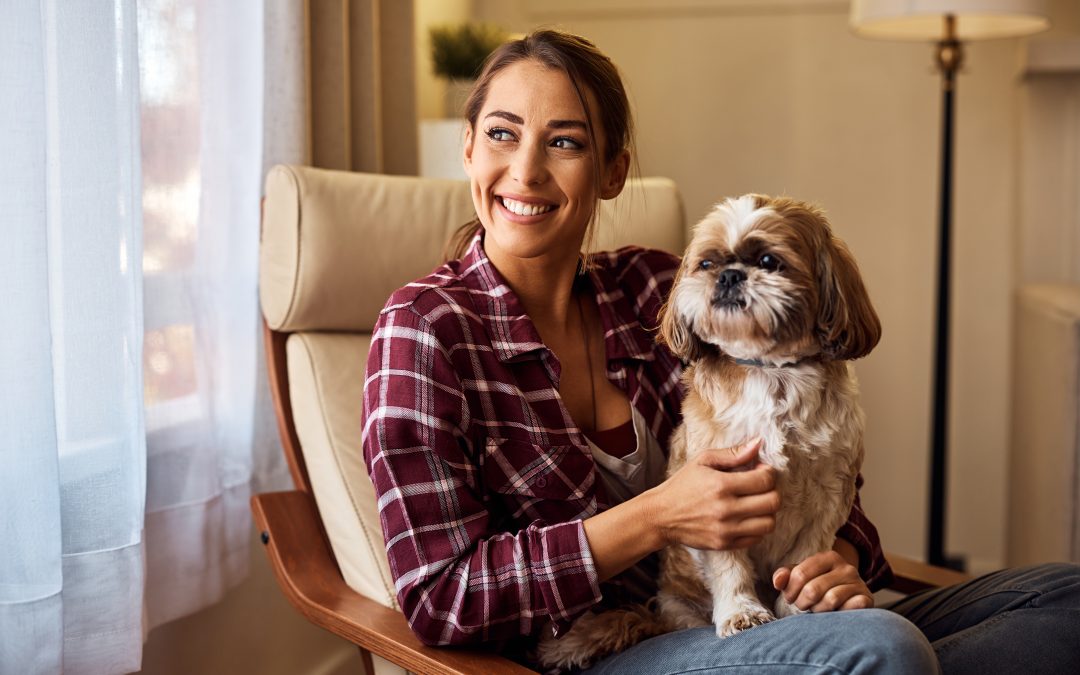Tips for Introducing a Pet Sitter to a Protective or Territorial Dog