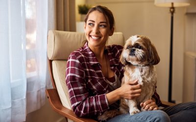 Tips for Introducing a Pet Sitter to a Protective or Territorial Dog