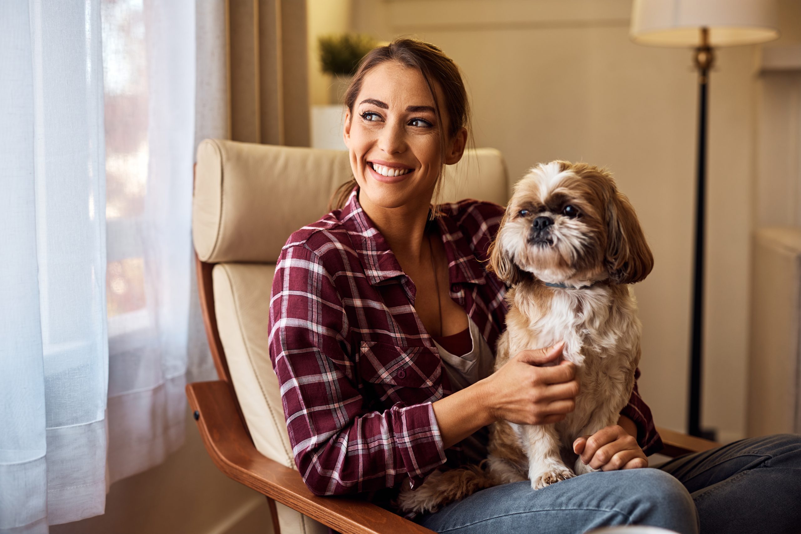 Tips for Introducing a Pet Sitter to a Protective or Territorial Dog
