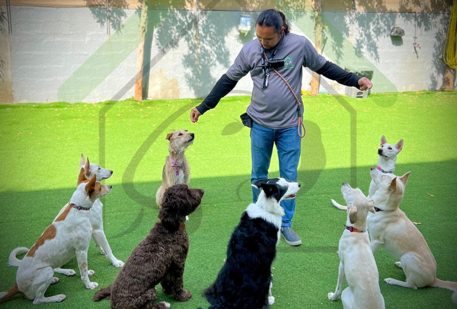 Dog temperament