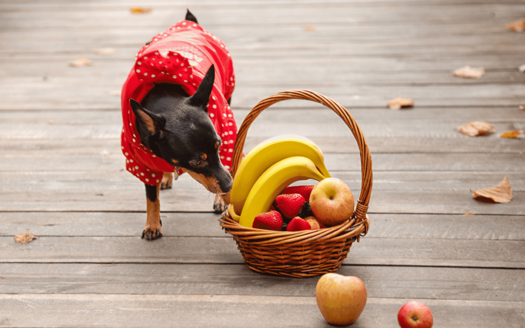 8 Safe Fruits for Dogs (With Serving Sizes & Safety Tips)
