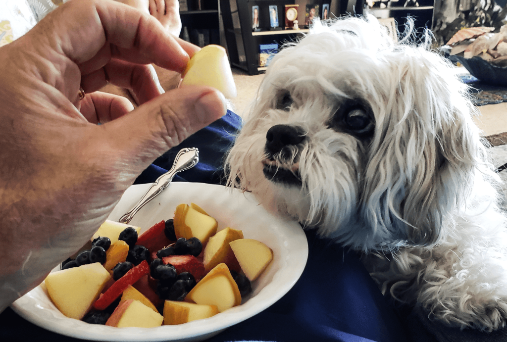 8 Safe Fruits for Dogs (With Serving Sizes & Safety Tips)
