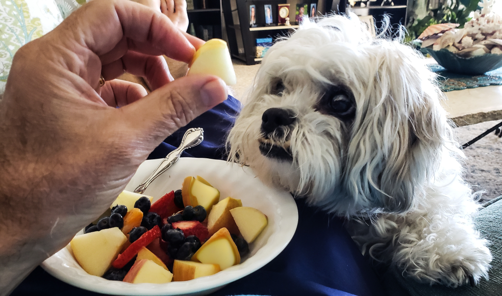 8 Safe Fruits for Dogs (With Serving Sizes & Safety Tips) 1 envato labs image edit 1 1