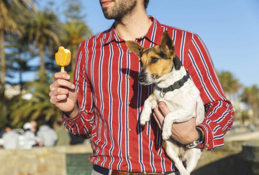 Can Dogs Eat Ice Cream? Risks, Ingredients, and Dog-Safe Alternatives 1 Can Dogs Eat Ice Cream? Risks, Ingredients, and Dog-Safe Alternatives