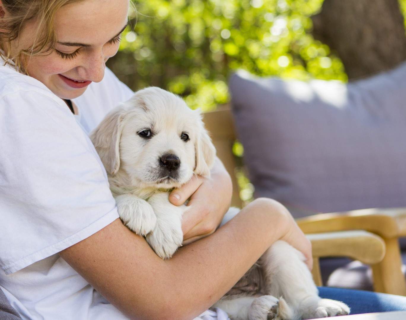 Preparing for a New Puppy at Home: A Step-by-Step Starter Guide Preparing for a New Puppy at Home: A Step-by-Step Starter Guide