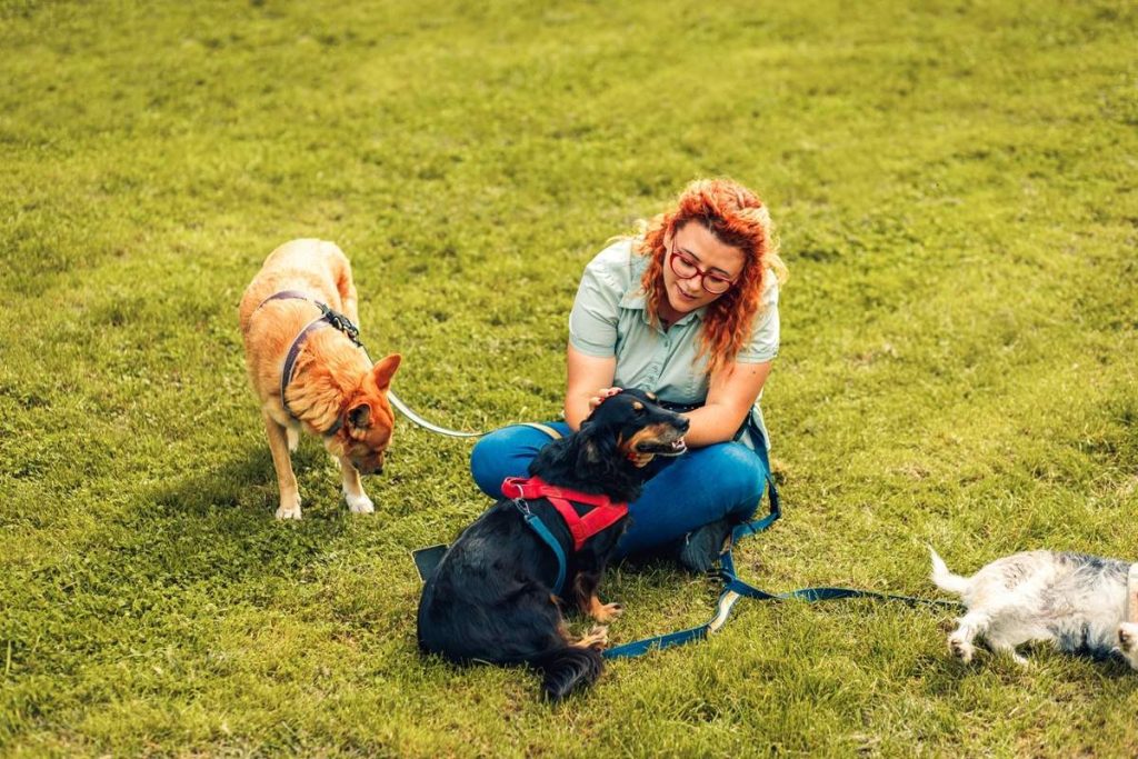 female dog walker with dogs enjoying in city park 2026 01 07 07 01 05 utc scaled 1