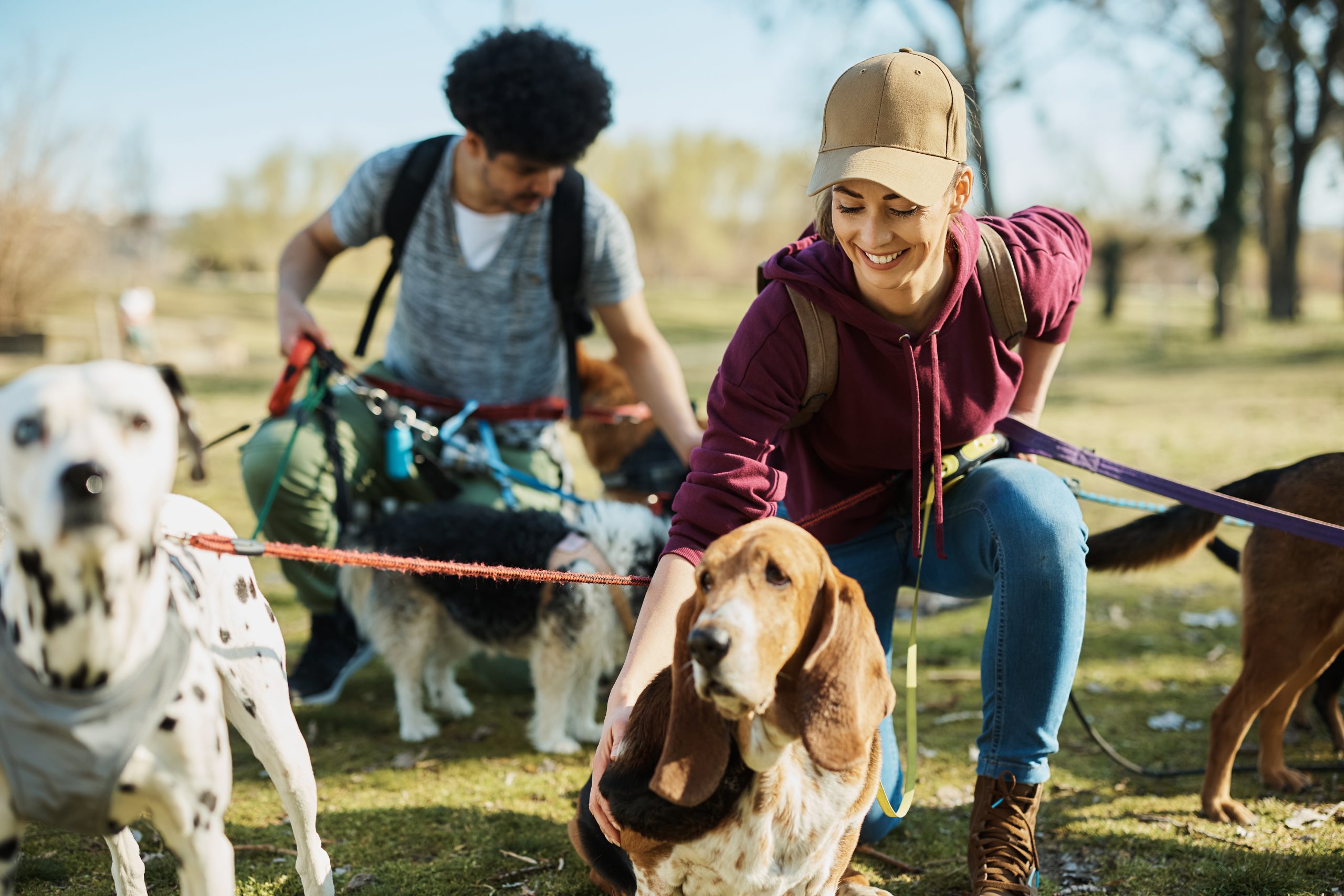 What Does a Professional Dog Walker Do? Services, Benefits & What to Expect What Does a Professional Dog Walker Do? Services, Benefits & What to Expect