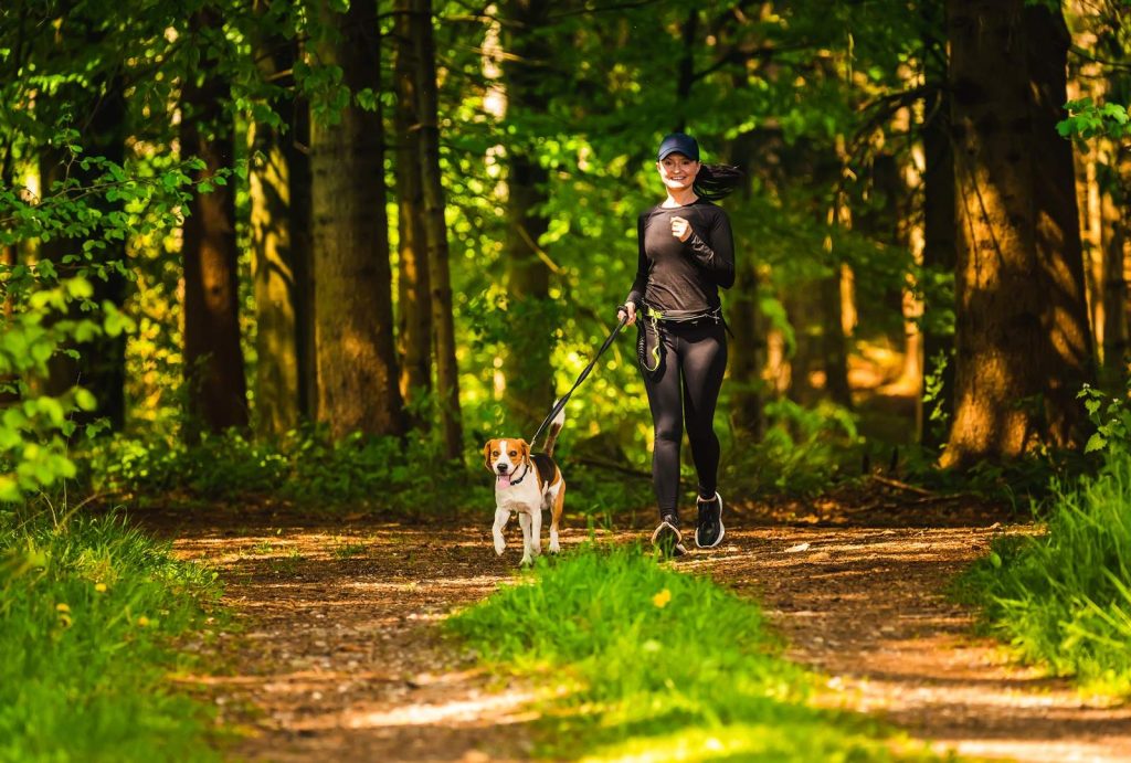 Best Time to Walk Your Dog: Morning vs Evening for Health & Safety