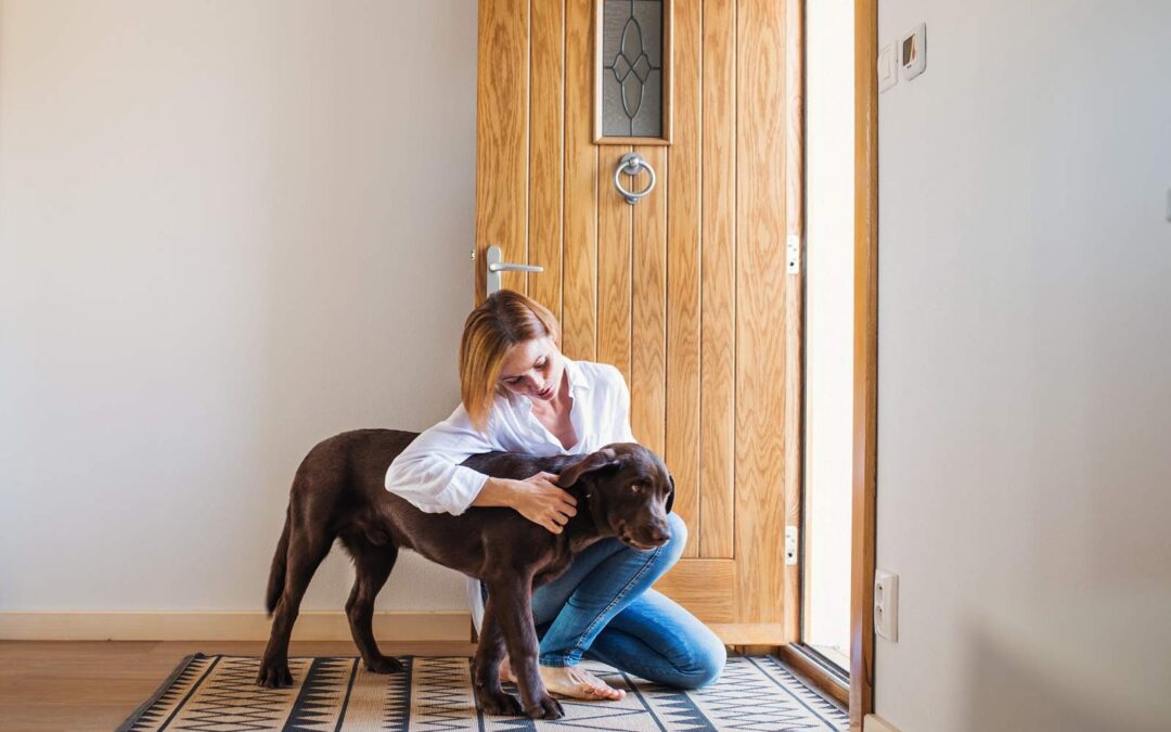 Separation Anxiety in Dogs: Signs, Causes, and How to Help