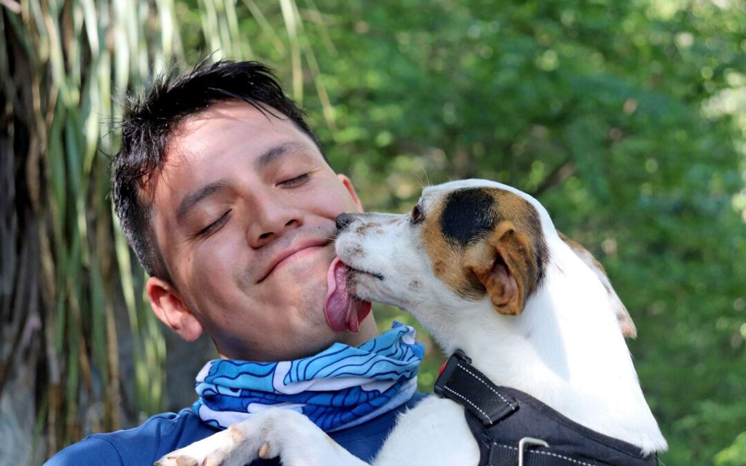 Why Does My Dog Lick Me So Much? Causes and What It Means