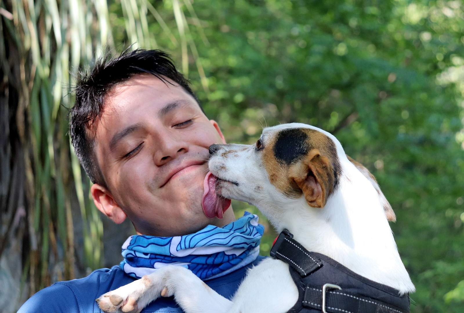 Why Does My Dog Lick Me So Much